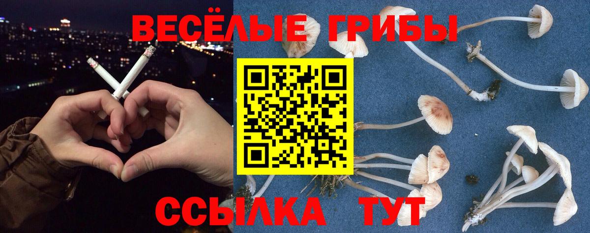 Псилоцибиновые грибы Cubensis  Вход с VPN  Вичуга  Псилоцибиновые грибы мухоморы 