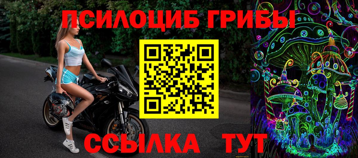 Псилоцибиновые грибы прущие грибы Вичуга